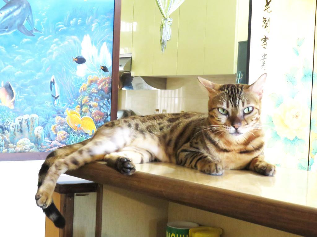 Tou Cheng Whale Watching Homestay Toucheng Exterior foto